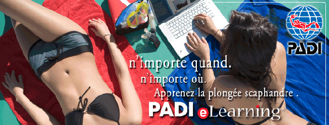 Padi Elearning website