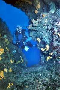 diver