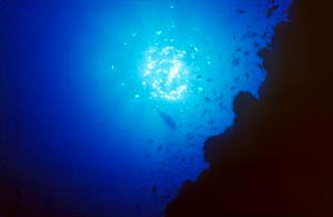 Discover the beauty of Crete's underwater kingdom