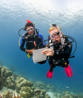 Open Water Diver Training