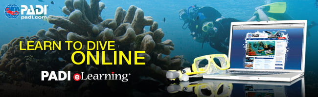 padi open water