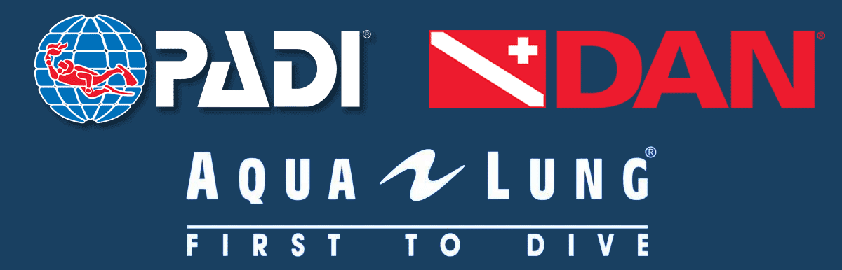 footer logo dan padi diversclub-crete.gr