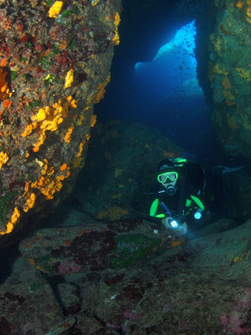 diving in lygaria crete