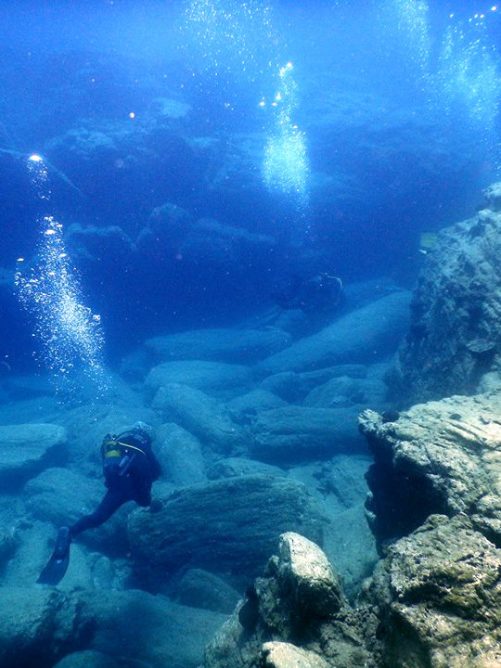 diving at neptune’s rock
