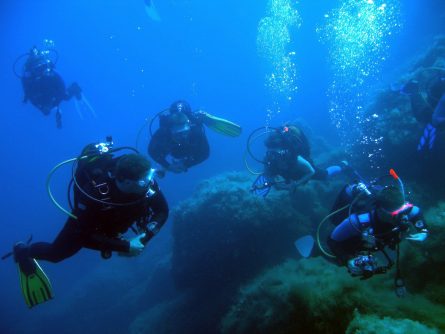 Les plongeurs au cap Stavros en Crète