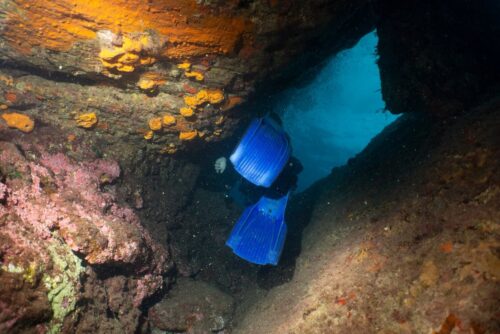 diver in lygaria crete