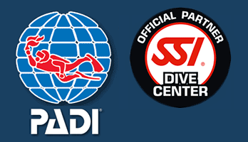 logo padi ssi